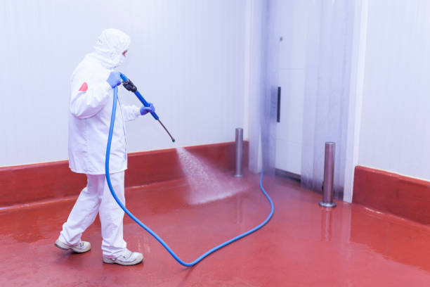 Best Sign and Awning Cleaning  in Webster, SD