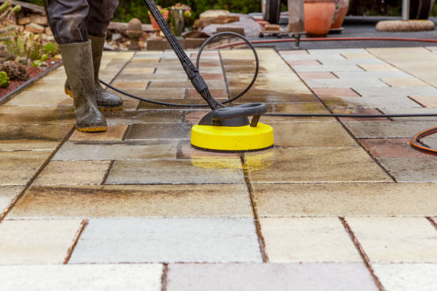 Best Pre-Holiday Cleaning  in Webster, SD