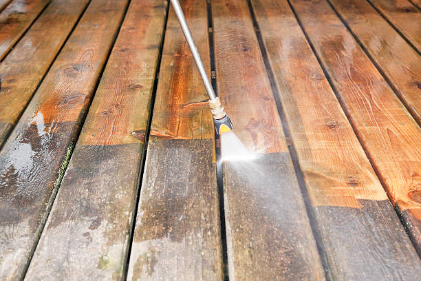 Animal Enclosure Cleaning in Webster, SD